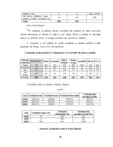 Managementul Strategic în Cadrul Hotelului Majestic - Pagina 30