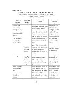 Managementul Strategic în Cadrul Hotelului Majestic - Pagina 55