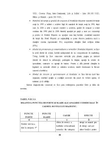 Managementul Strategic în Cadrul Hotelului Majestic - Pagina 59
