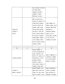 Managementul Strategic în Cadrul Hotelului Majestic - Pagina 62