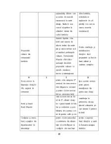 Managementul Strategic în Cadrul Hotelului Majestic - Pagina 65