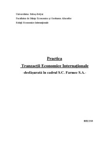 Practică tranzacții economice internaționale - desfășurata în cadrul SC Farmec SA - Pagina 1