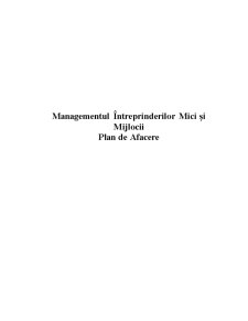 Plan de Afaceri - Managementul IMM-urilor - Pagina 1