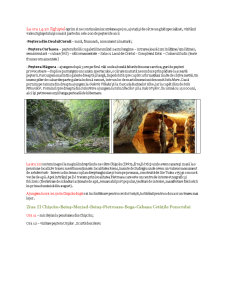 Circuitul peșterilor în Munții Apuseni - Pagina 3