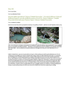 Circuitul peșterilor în Munții Apuseni - Pagina 5