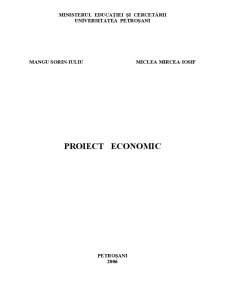Proiect Economic - Pagina 1