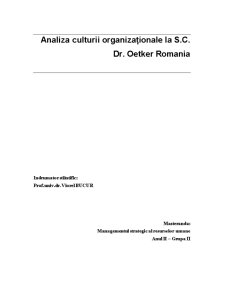 Analiza Culturii Organizaționale la SC Dr Oetker România - Pagina 2