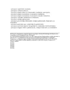 Principiile contabilității - Pagina 5