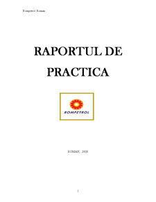 Raport de practică Rompetrol - Pagina 1