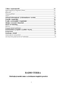 Raport de practică - Radio Terra - Pagina 3