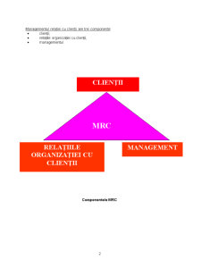 Managementul relațiilor cu clienții - Pagina 2