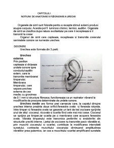 Noțiuni de anatomie și fizionomie a urechii - Pagina 1