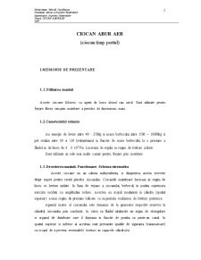 Ciocan Abur-Aer - Pagina 3