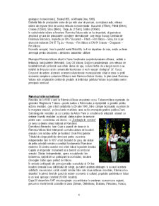 Obiective turistice din județul Vâlcea - Pagina 4