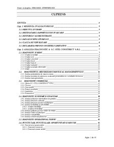 Evaluarea Interpinderii - SC Util Construct SRL - Pagina 2
