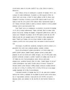 Nutriția Plantelor Leguminoase - Pagina 2