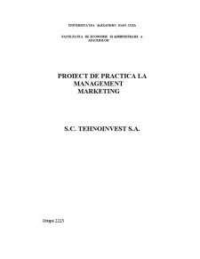 Proiect de practică la management marketing - SC Tehnoinvest SA - Pagina 1
