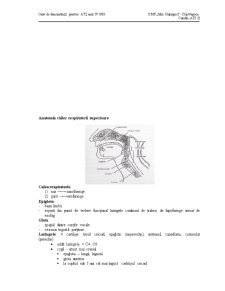 Intubația - Pagina 1