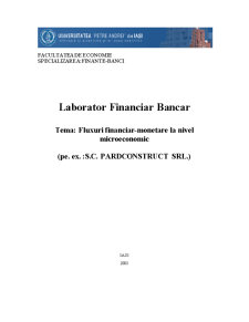 Fluxuri Financiar - Monetare la Nivel Microeconomic - Pagina 1