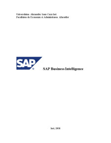 SAP business intelligence - Pagina 1