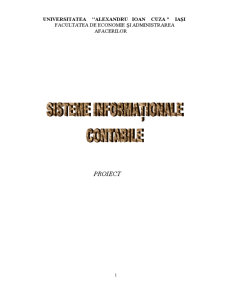 Sisteme Informaționale Contabile - Pagina 1