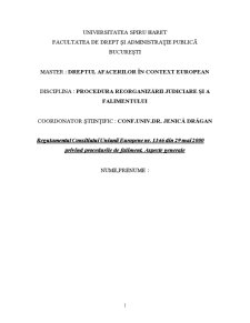 Regulamentul consiliului Uniunii Europene nr 1346 din 29 mai 2000 privind procedurile de faliment - aspecte generale - Pagina 1