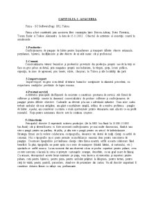 Plan de Afaceri - SC Bugs SRL Motru - Pagina 5