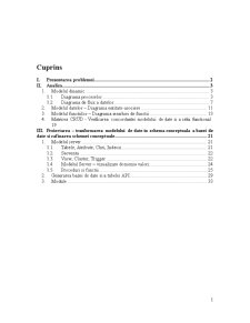Analiza și proiectarea unui sistem informatic pentru încheierea contractelor de prestări servicii a unei clinici medicale - Pagina 2