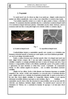 Studiul Caracteristicilor Sticlelor Metalice - Pagina 3