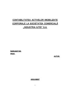Contabilitatea activelor imobilizate corporale la societatea comercială Industria Iutei SA - Pagina 1