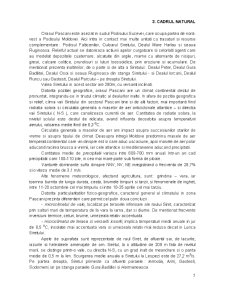 Monografia Orașului Pașcani - Pagina 5