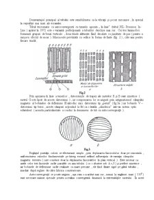 Tubul Cinescop Color Tricromatic - Pagina 3