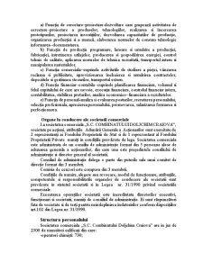 Societatea comercială Combinatului Doljchim Craiova SA - Pagina 3