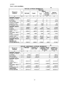Auditul Imobilizarilor Corporale in Cadrul Firmei Metropol SRL - Pagina 4