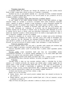 Răspunderea juridică - Pagina 3