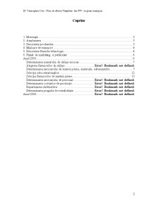 SC Termoglass Con - Plan de Afaceri Tâmplărie din PVC cu Geam Termopan - Pagina 2