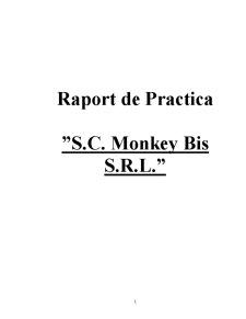 Raport de practică - SC Monkey Bis SRL - Pagina 1