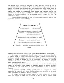 Managementul Comercial și Financiar Contabil - Pagina 2