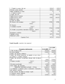 Investiții Directe și Finanțarea Lor - Pagina 3