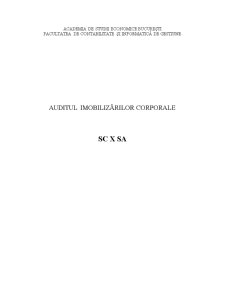 Auditul imobilizărilor corporale - SC X SA - Pagina 1