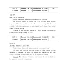 Auditul imobilizărilor corporale - SC X SA - Pagina 5