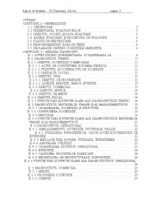 Raport de evaluare - SC Danubiana SA - Pagina 2
