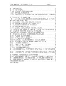 Raport de evaluare - SC Danubiana SA - Pagina 3