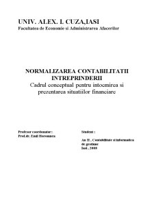 Normalizarea contabilității întreprinderii - cadrul conceptual pentru întocmirea și prezentarea situațiilor financiare - Pagina 1