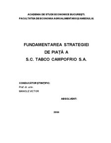 Fundamentarea strategiei de piață a SC Tabco Campofrio SA Tulcea - Pagina 1