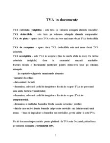 Mecanismul TVA - Pagina 3