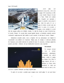 Identitatea corporativă și campaniile de advertising - analiza semiotică a printurilor McDonald's - Pagina 5
