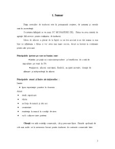 Plan de Afaceri - SC Monandre SRL - Birou de Traduceri Legalizate - Pagina 3