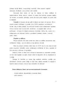 Plan de Afaceri - SC Monandre SRL - Birou de Traduceri Legalizate - Pagina 4