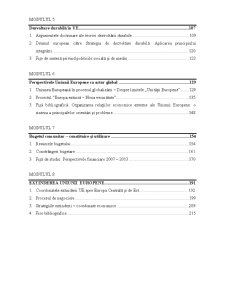 Integrare Economică Europeană - Pagina 3